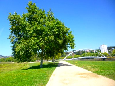 Pontevedra - Espazo Natural da Ribeira do Lérez-Illa das Esculturas 01
