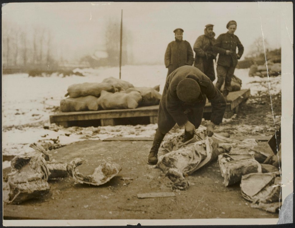 Portioning out the meat at a roadside dump, Bestanddeelnr 158-2419