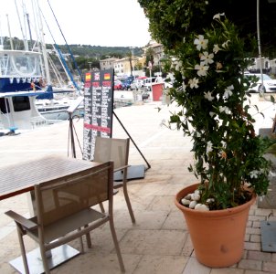 PORT SOLLER-MAJORKA, AB-221