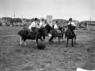 Pony voetbalwedstrijd te Breda, Bestanddeelnr 911-4687