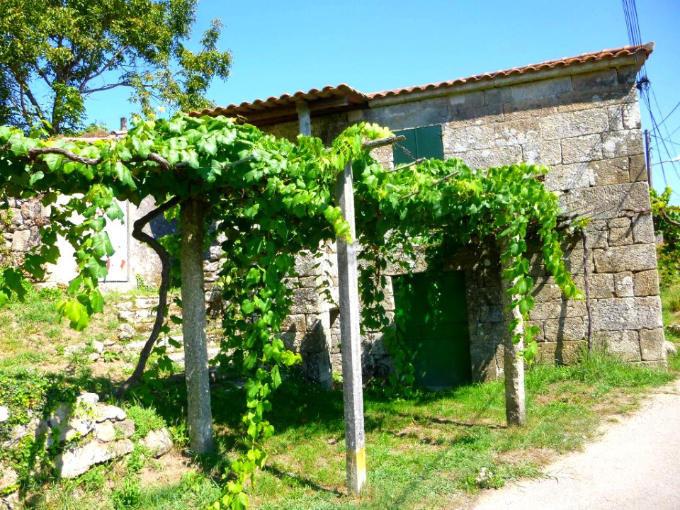 Pontevedra - Lérez 3