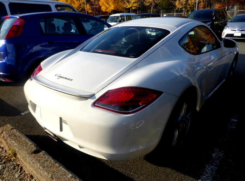 Porsche Cayman (987C) rear