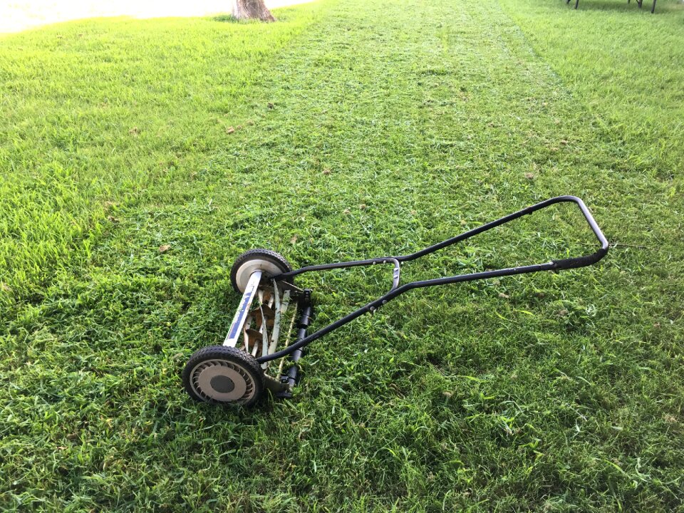 Grass mower garden photo