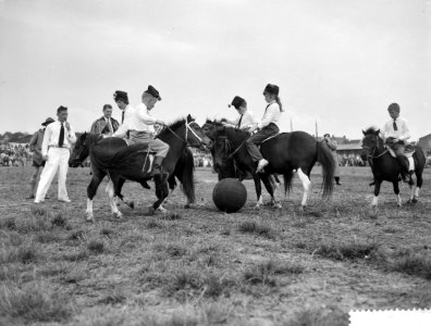 Pony voetbalwedstrijd te Breda, Bestanddeelnr 911-4685
