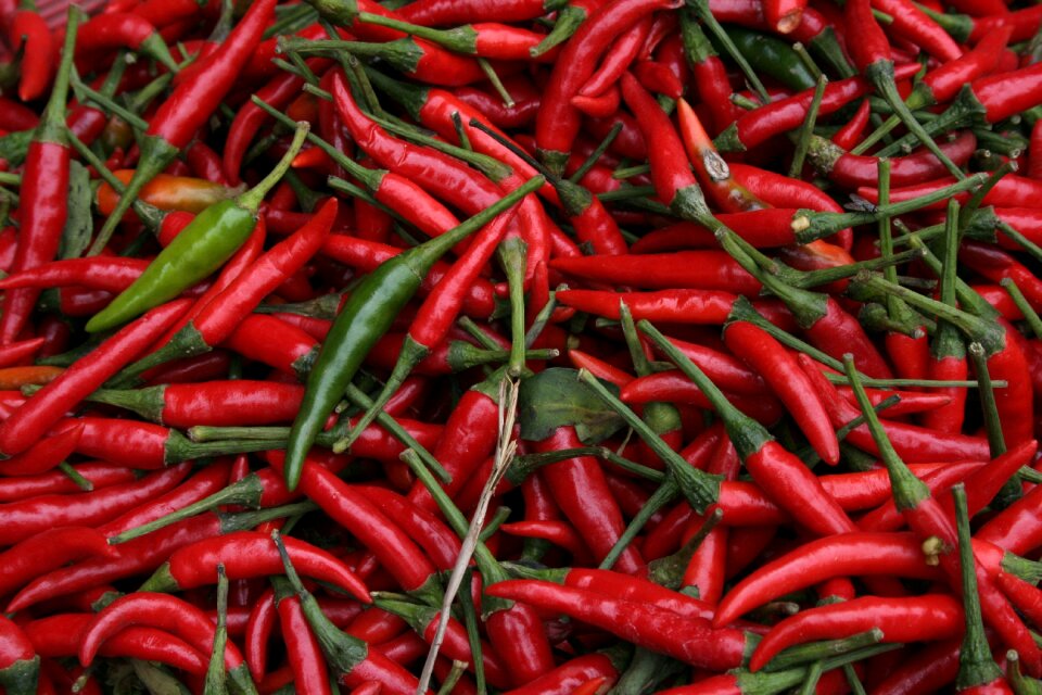 Market sharp chilli peppers photo