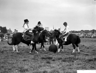 Pony voetbalwedstrijd te Breda, Bestanddeelnr 911-4683
