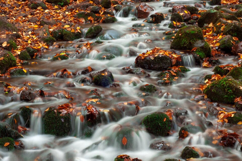 Waterfall november leaves