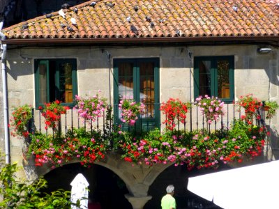 Pontevedra - Praza da Estrela 4