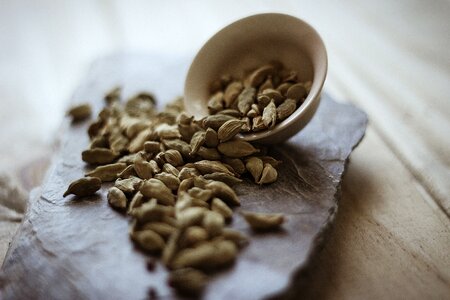 Gastronomy recipe food