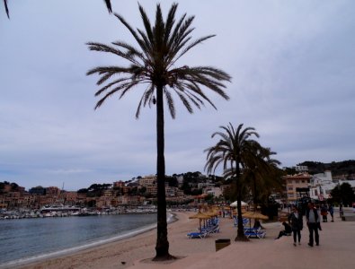 PORT SOLLER-MAJORKA, AB-241