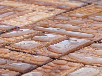 Wood nature material