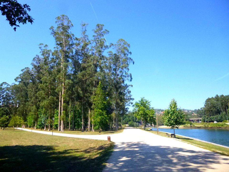Pontevedra - Espazo Natural da Ribeira do Lérez-Illa das Esculturas 06