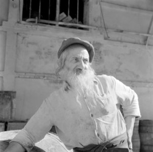 Portret van een bejaarde man als type van een Jemenitische jood, Bestanddeelnr 255-1398
