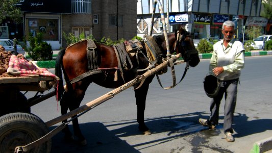 Portage horse - a man giving water to her horse with pail aside of Amir Kabir St - Nishapur 2