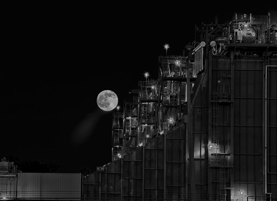 Moon buck moon black