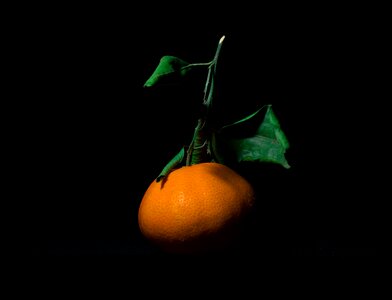 Fruit l food