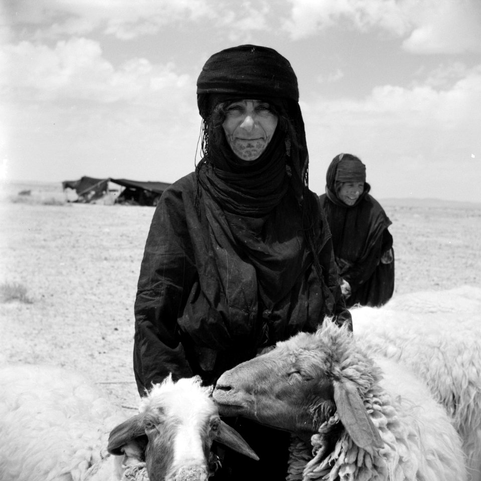 Portret van een bedoeïnen vrouw met schaap, Bestanddeelnr 255-6078