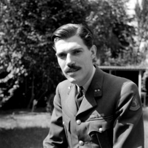 Portret van een onbekende eerste luitenant van de landmacht, Bestanddeelnr 255-8994