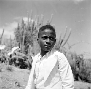 Portret van een inheemse jongen bij Savonet op Curaçao, Bestanddeelnr 252-7387