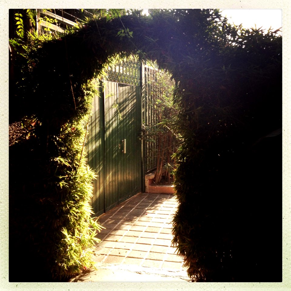 Portal (152581949)