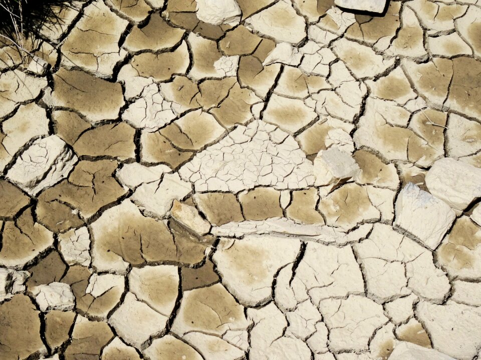 Mud cracked earth dry land