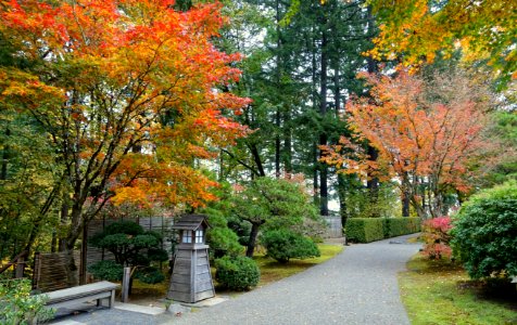 Portland Japanese Garden - Portland, Oregon - DSC08176