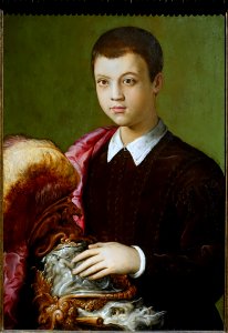 Portrait of an Aristocratic Youth (possibly Gian Battista Salviati), by Francesco Salviati, c. 1543-1544, oil on wood panel - John and Mable Ringling Museum of Art - Sarasota, FL - DSC00602