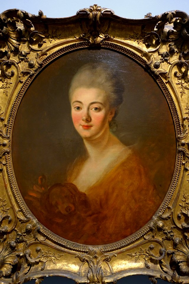 Portrait of Elisabeth-Sophie-Constance de Lowendhal, Countess of Turpin de Crisse, by Jean-Honore Fragondard, 1775-1785, oil on canvas - Museu de Arte de São Paulo - DSC07173