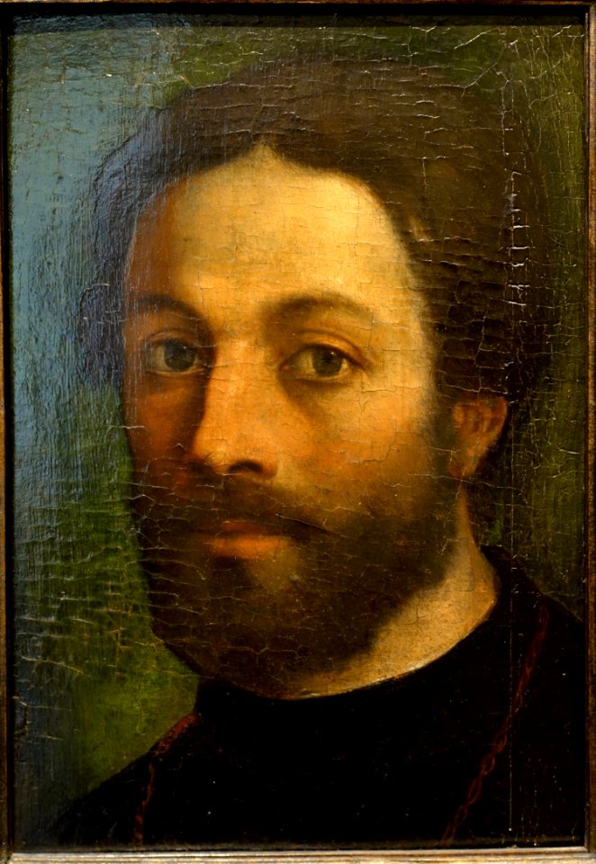 Portrait of a Man, by Sebastiano Luciani, called Sebastiano del Piombo, Venice or Rome, c. 1516, oil on wood panel - Blanton Museum of Art - Austin, Texas - DSC07724