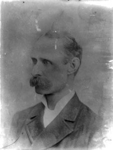 Portrait of a man (1294383)