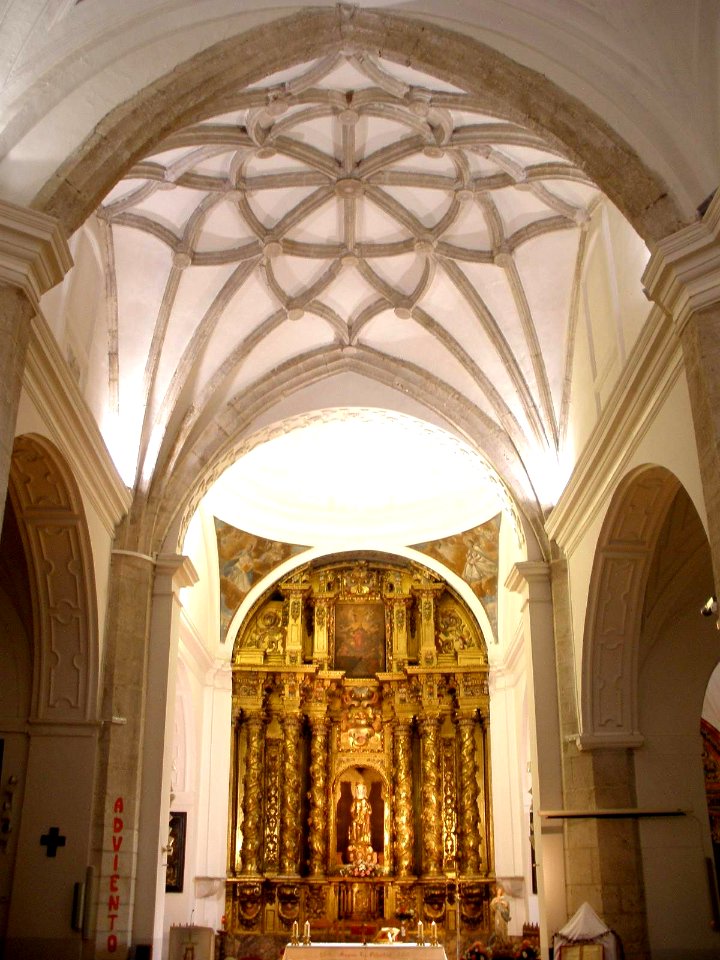 Portillo - Iglesia de Santa María la Mayor, 27
