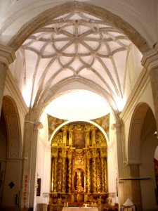 Portillo - Iglesia de Santa María la Mayor, 27