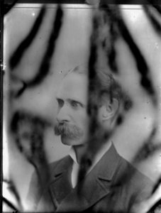 Portraint of a man (1295104)