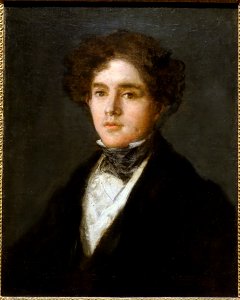 Portrait of Mariano Goya, the Artist's Grandson, by Francisco José de Goya y Lucientes, Spanish, 1827, oil on canvas - Meadows Museum - Southern Methodist University - DSC05335