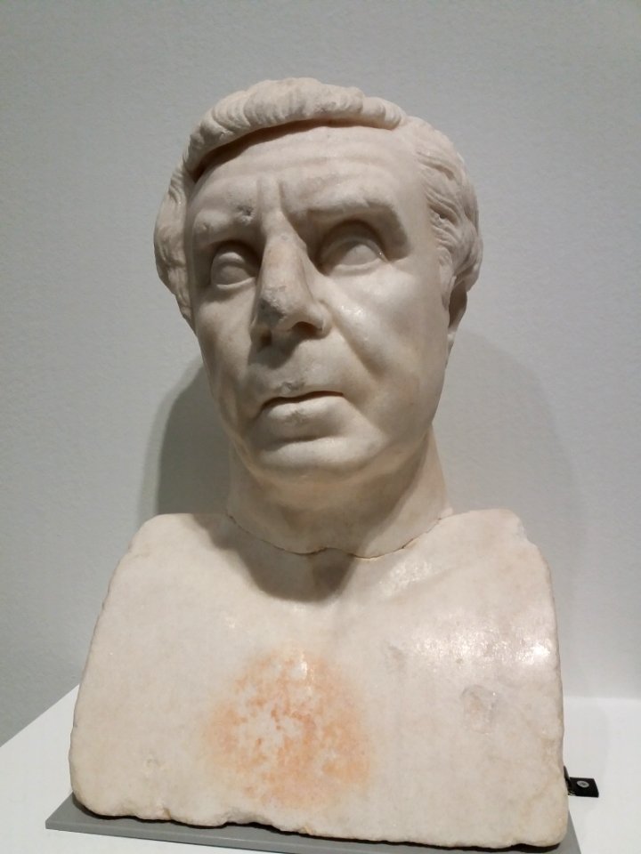 Portrait d'homme dit Plancus - Musée Lugdunum, 2001.0.307