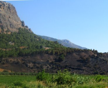 Priene 2