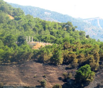 Priene 3