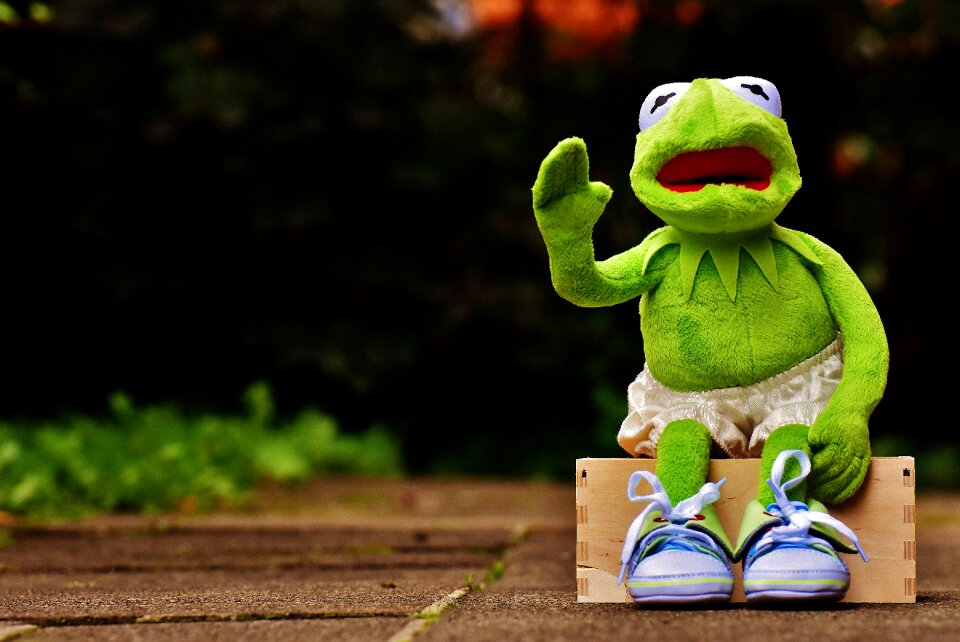 Sneakers pants frog