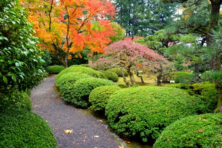 Portland Japanese Garden - Portland, Oregon - DSC08238