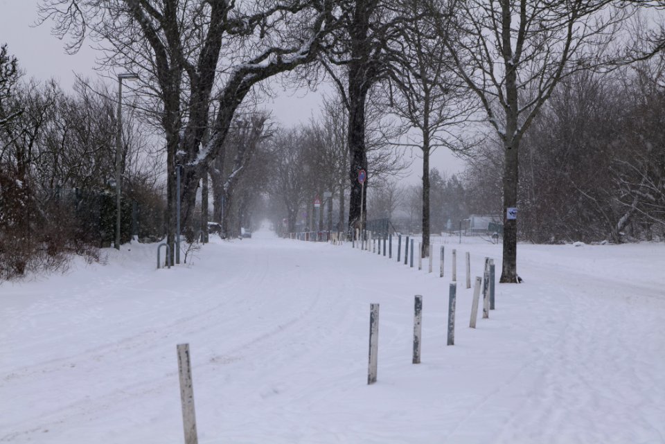 Priesterweg Berlin-Schöneberg with snow 2021-02-08