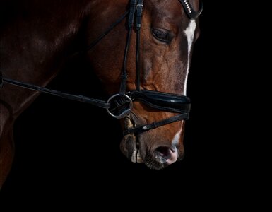Head chiaroscuro close up