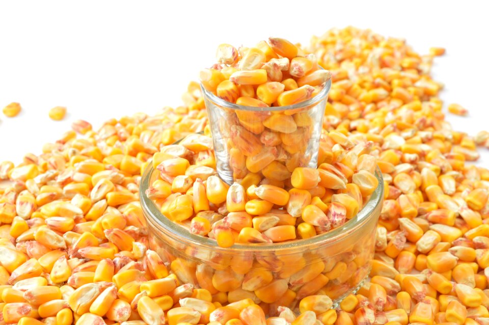 Grains but glass pot