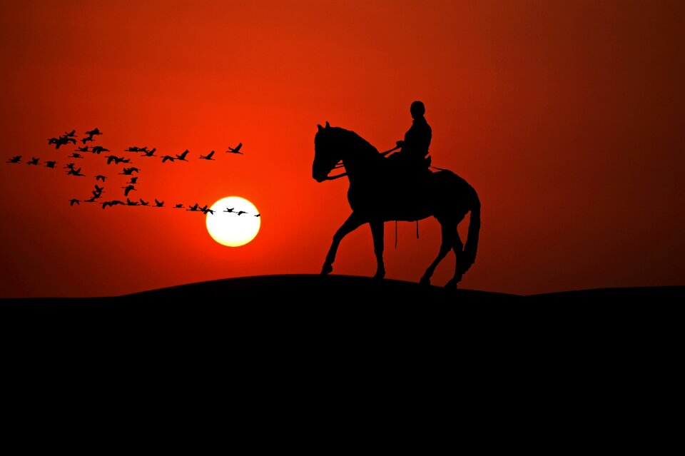 Ride equestrian leisure