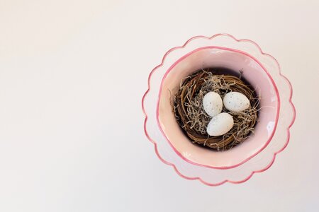 Pink nest eggs photo