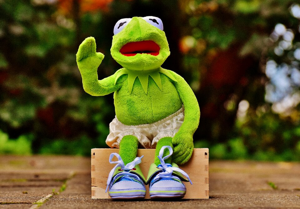 Sneakers pants frog