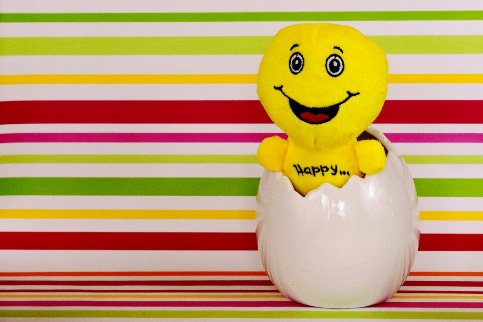 Cheerful funny eggshell