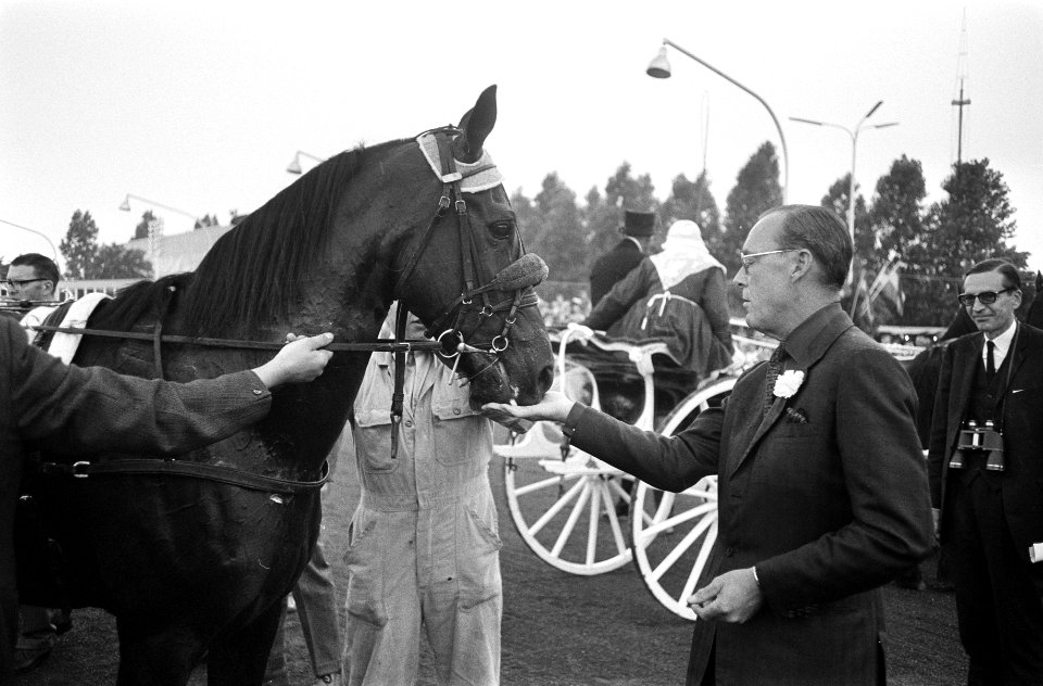Prins Bernhard geeft een paard een suikerklontje, Bestanddeelnr 922-6000