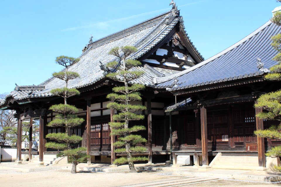 Japan temple japanese photo