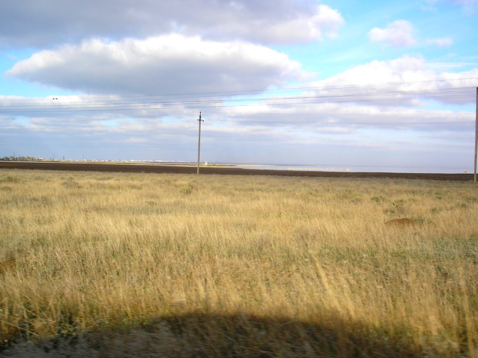 PribrezhnoeSak 1