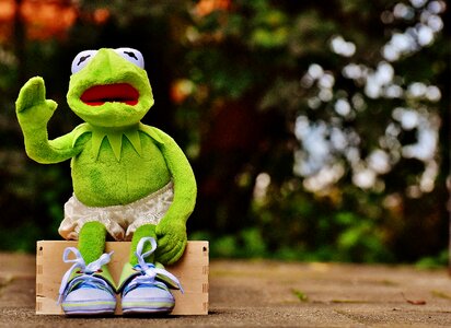 Sneakers pants frog photo